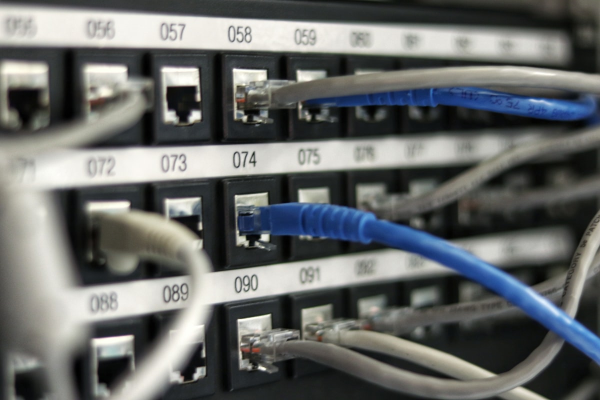 Close-up of a network patch panel with numbered ports and blue and grey ethernet cables plugged in